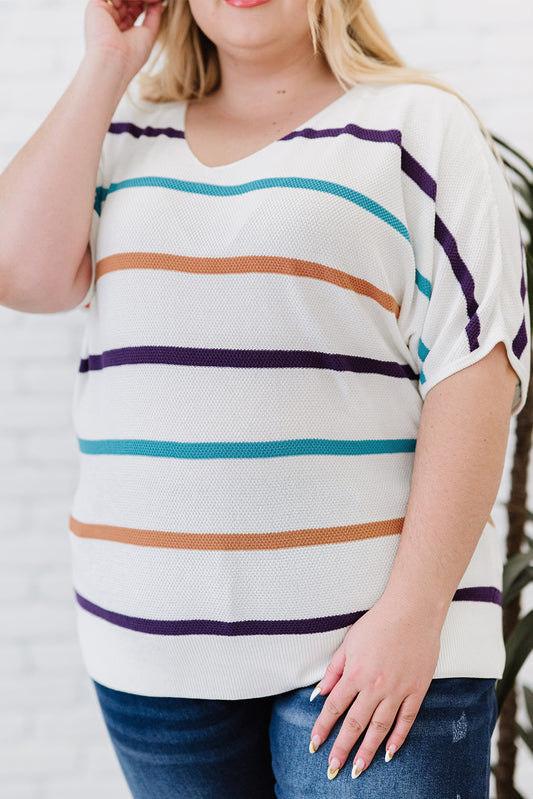 Plus Size Striped Short Sleeve Knit Top